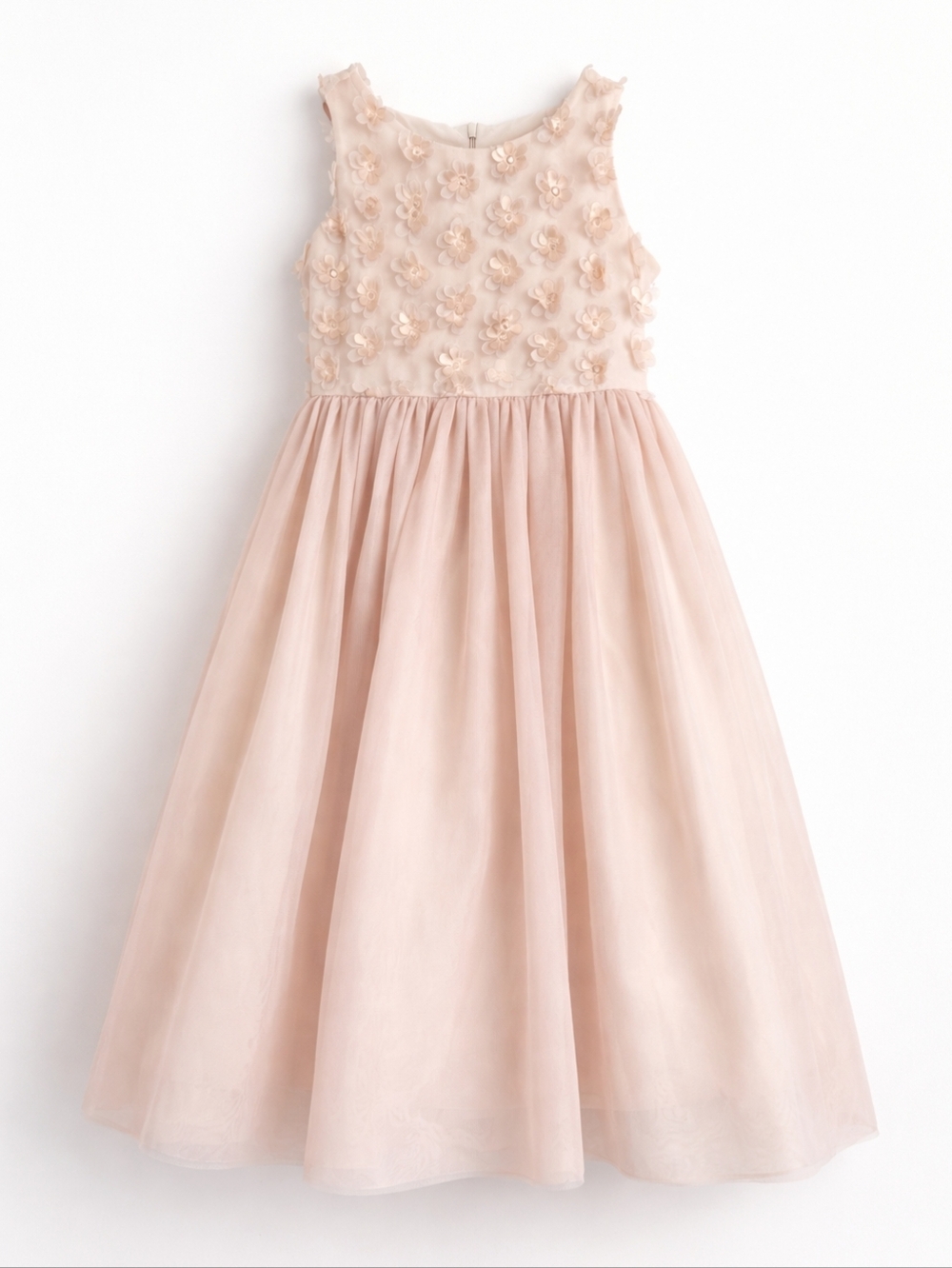 Belle Badgley Mischka Blush Floral Appliqué Sleeveless Party Dress